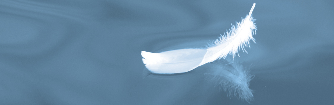 Feder auf Wasser (Deko)