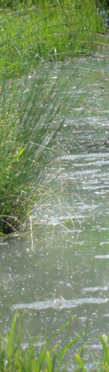 Glitzerndes Wasser (Deko)